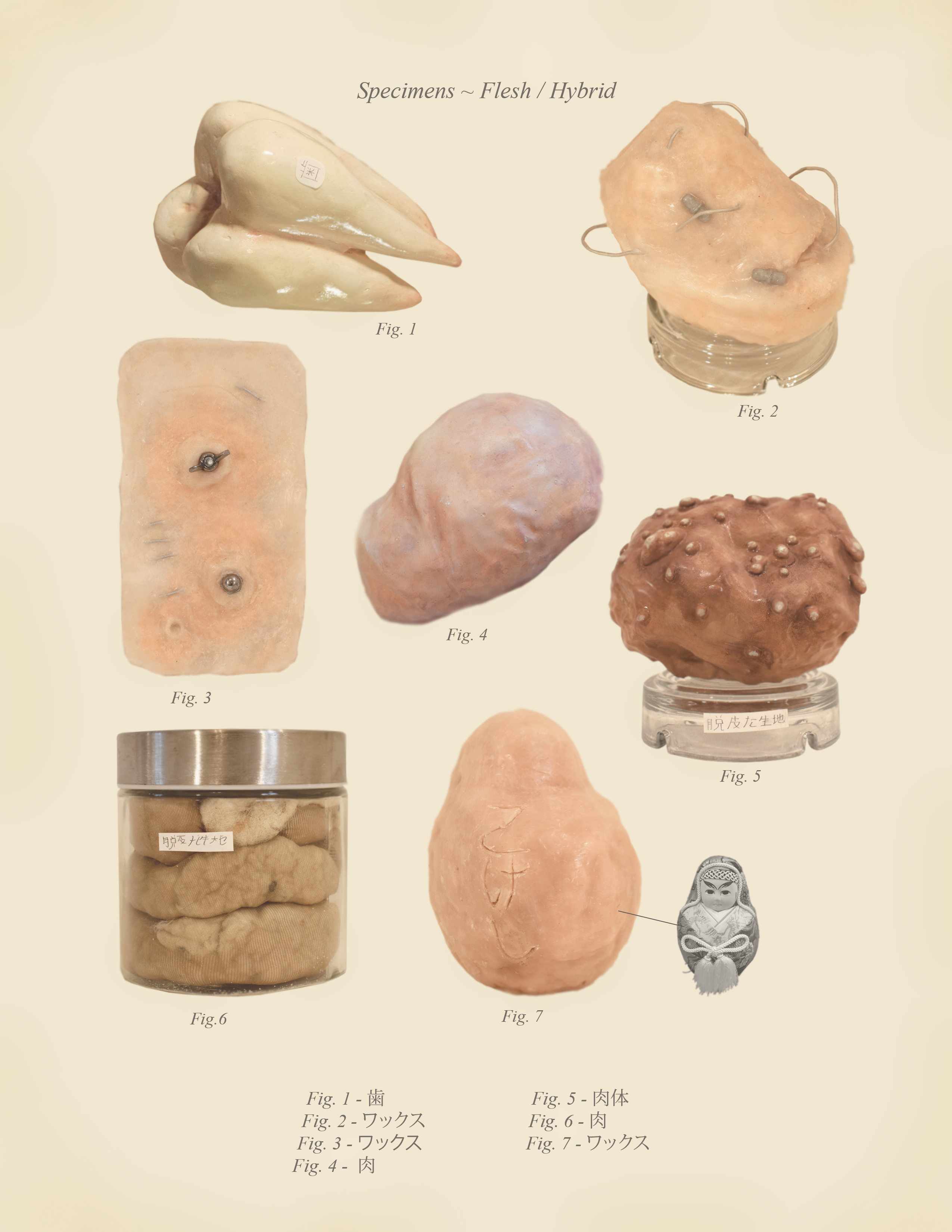 Specimens ~ Flesh / Hybrid