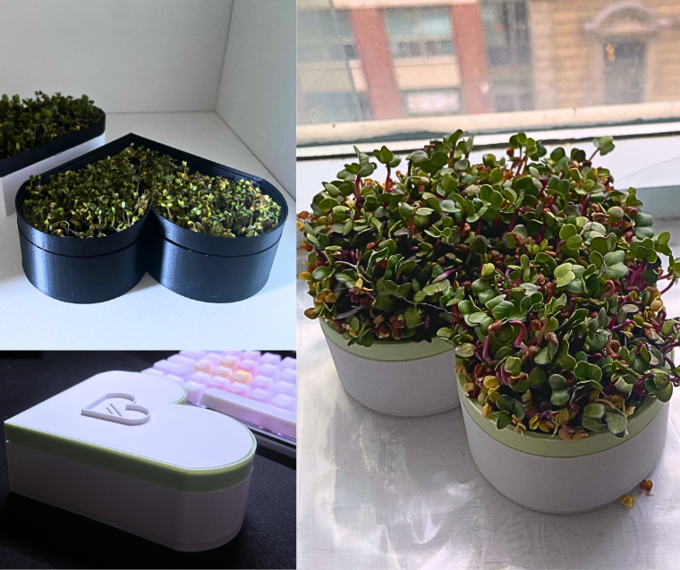 HeartSeed - Hydroponic Microgreens Planter