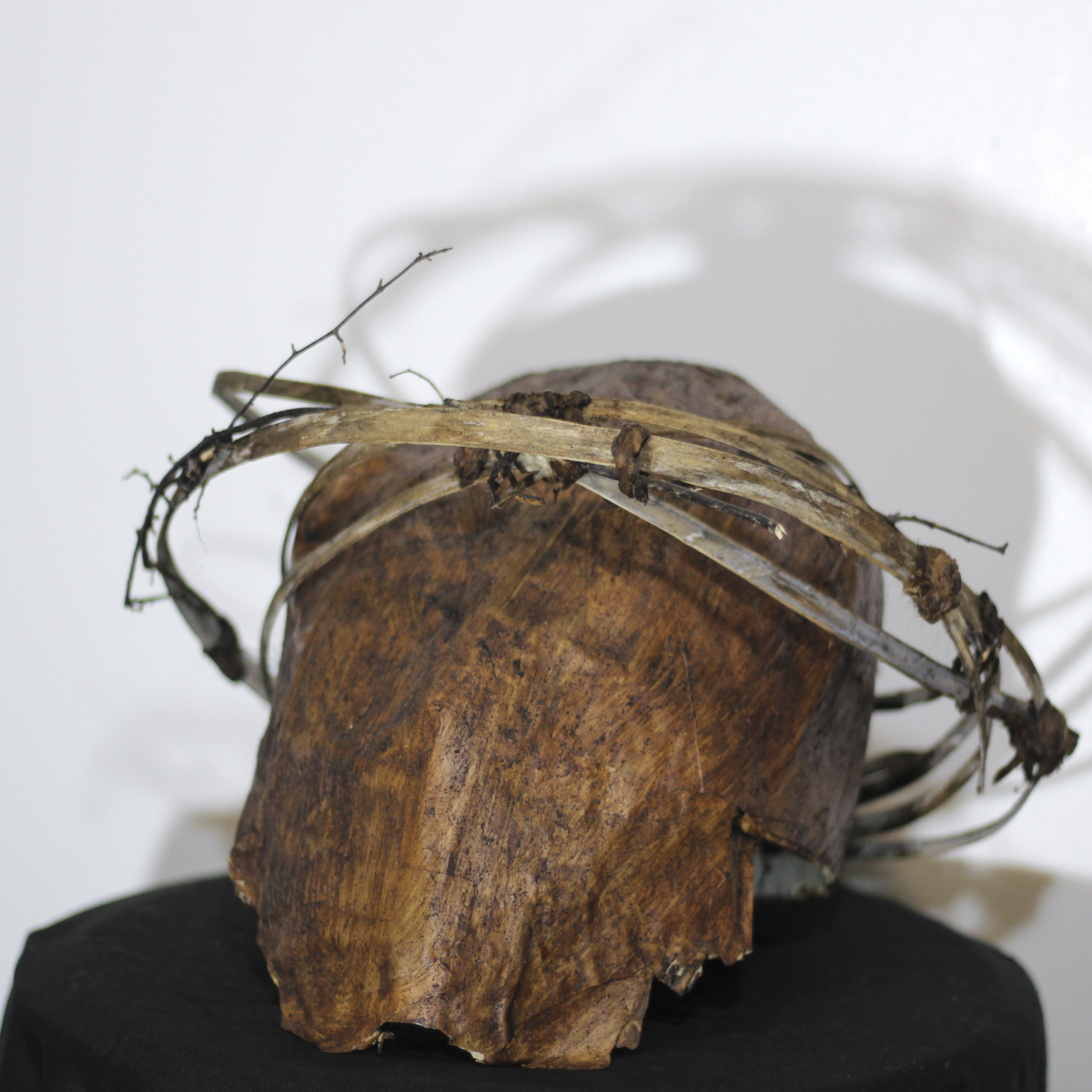 Unmasking Depression Mask