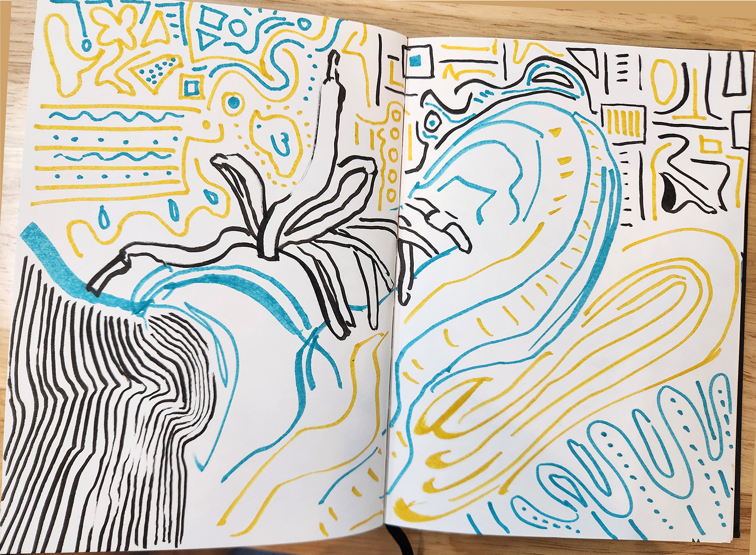 Sketchbook