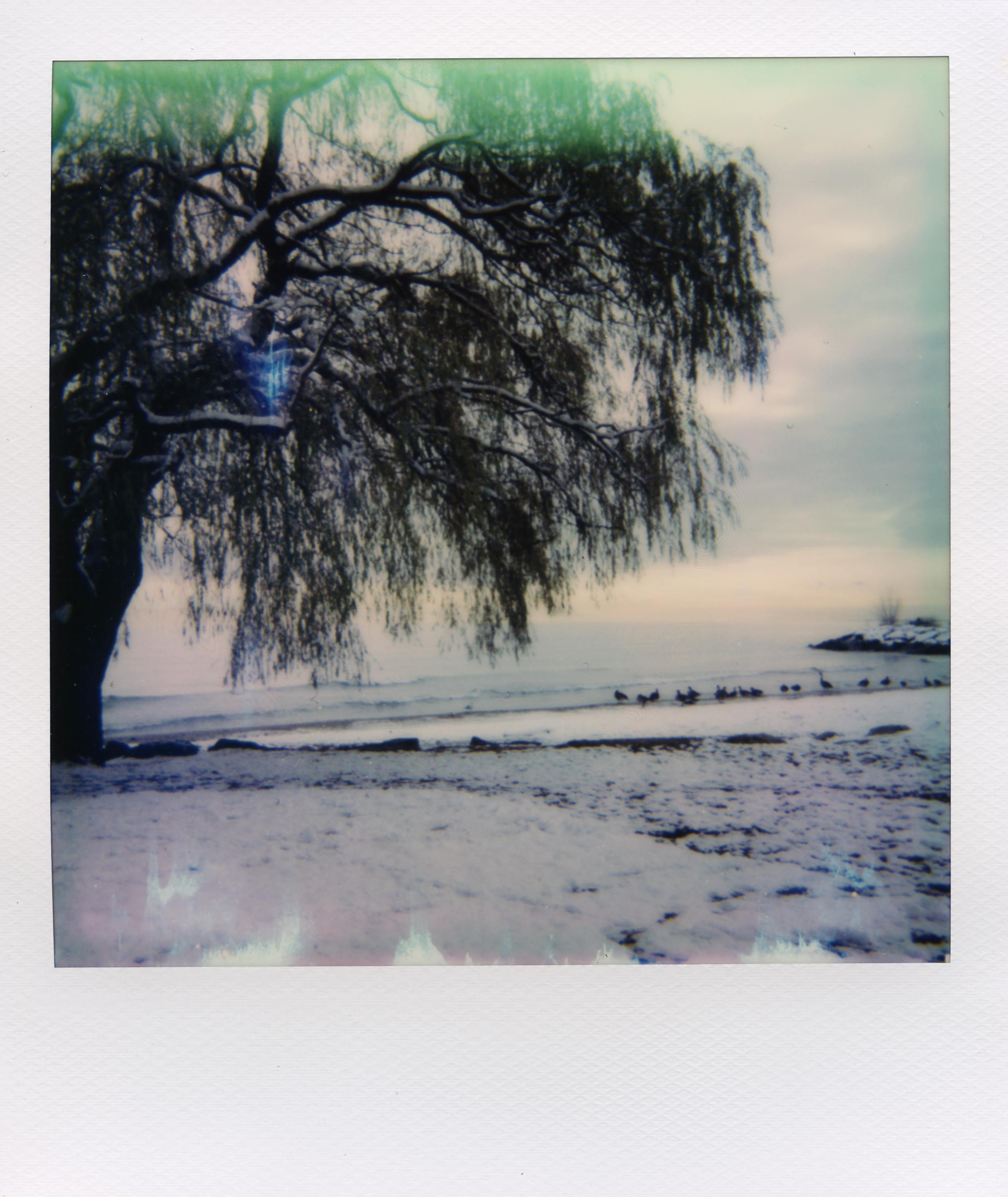 Where We Used to Walk