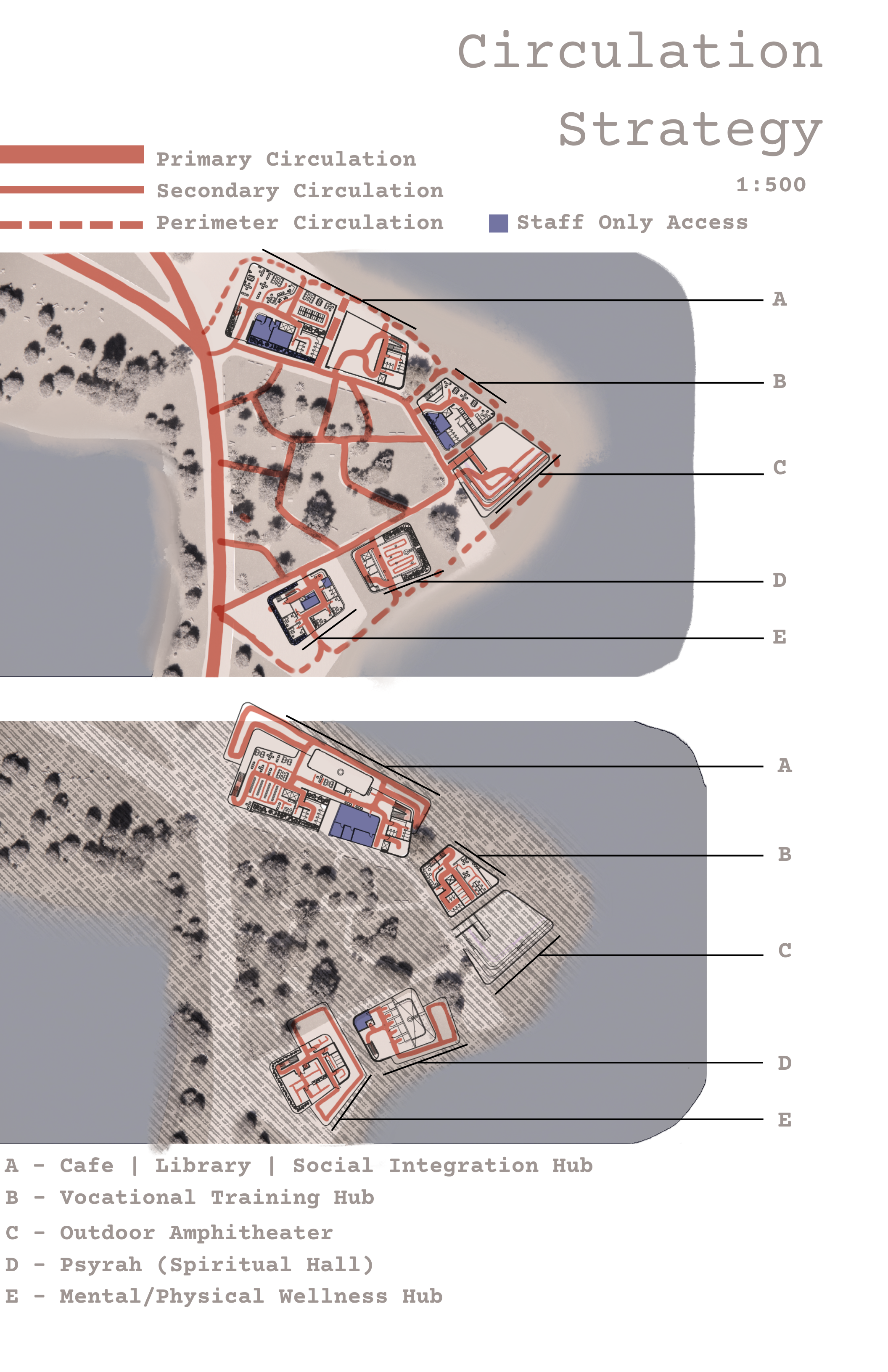 Align: A Youth Social Integration Typology