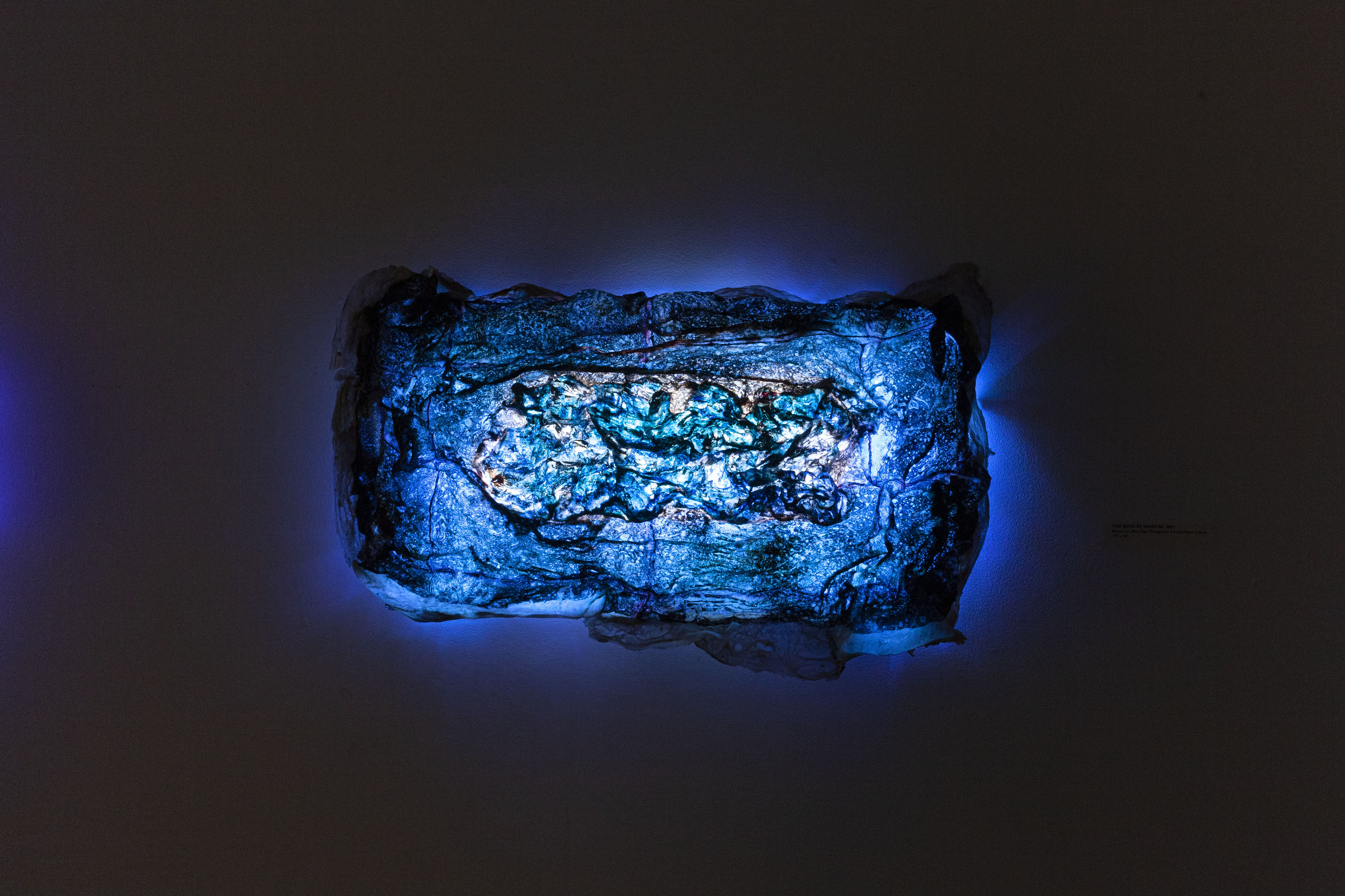 The Book of Waves Pt8