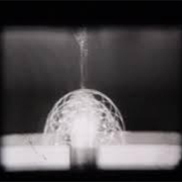 Nautilus, desirable design