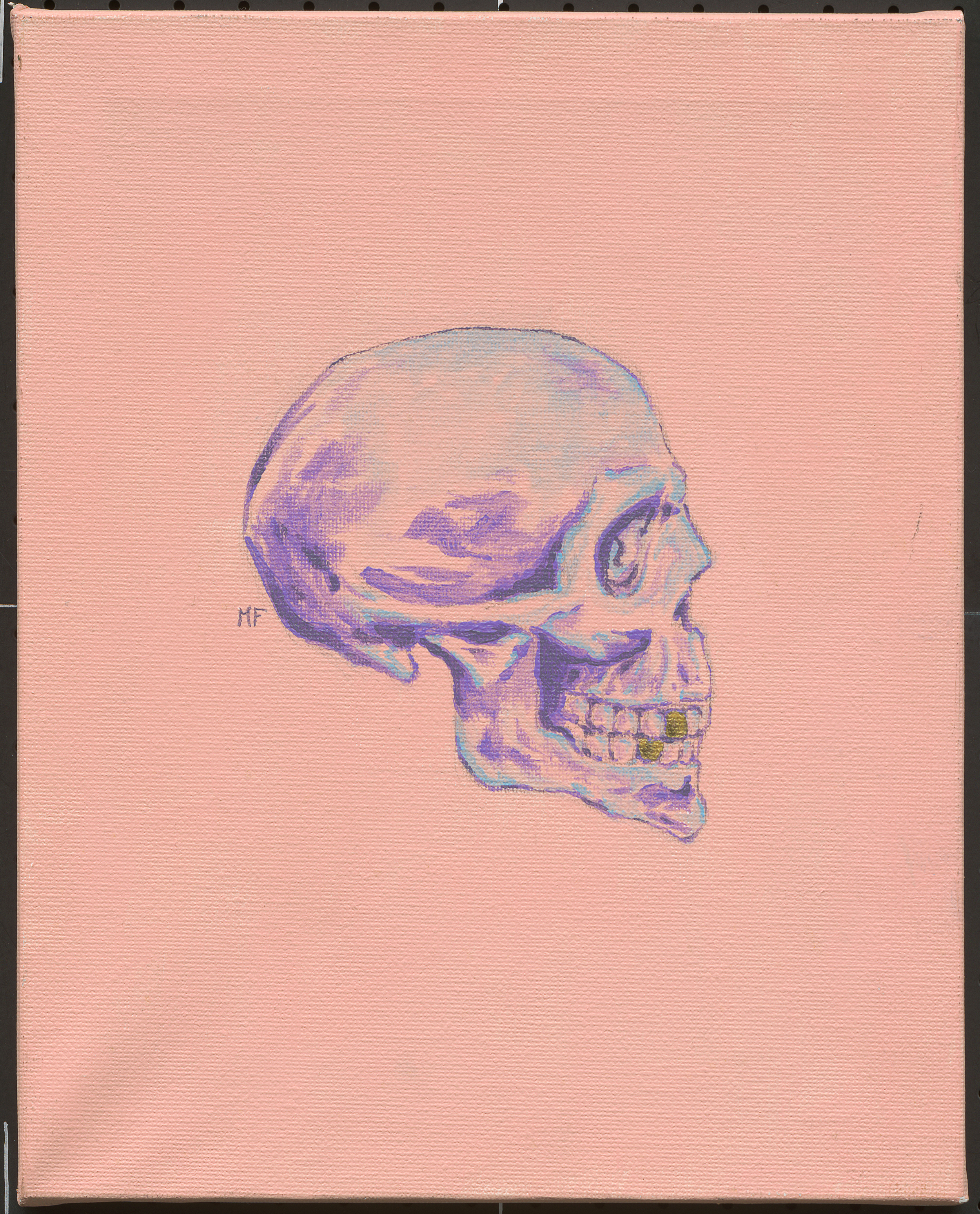 Skull Study