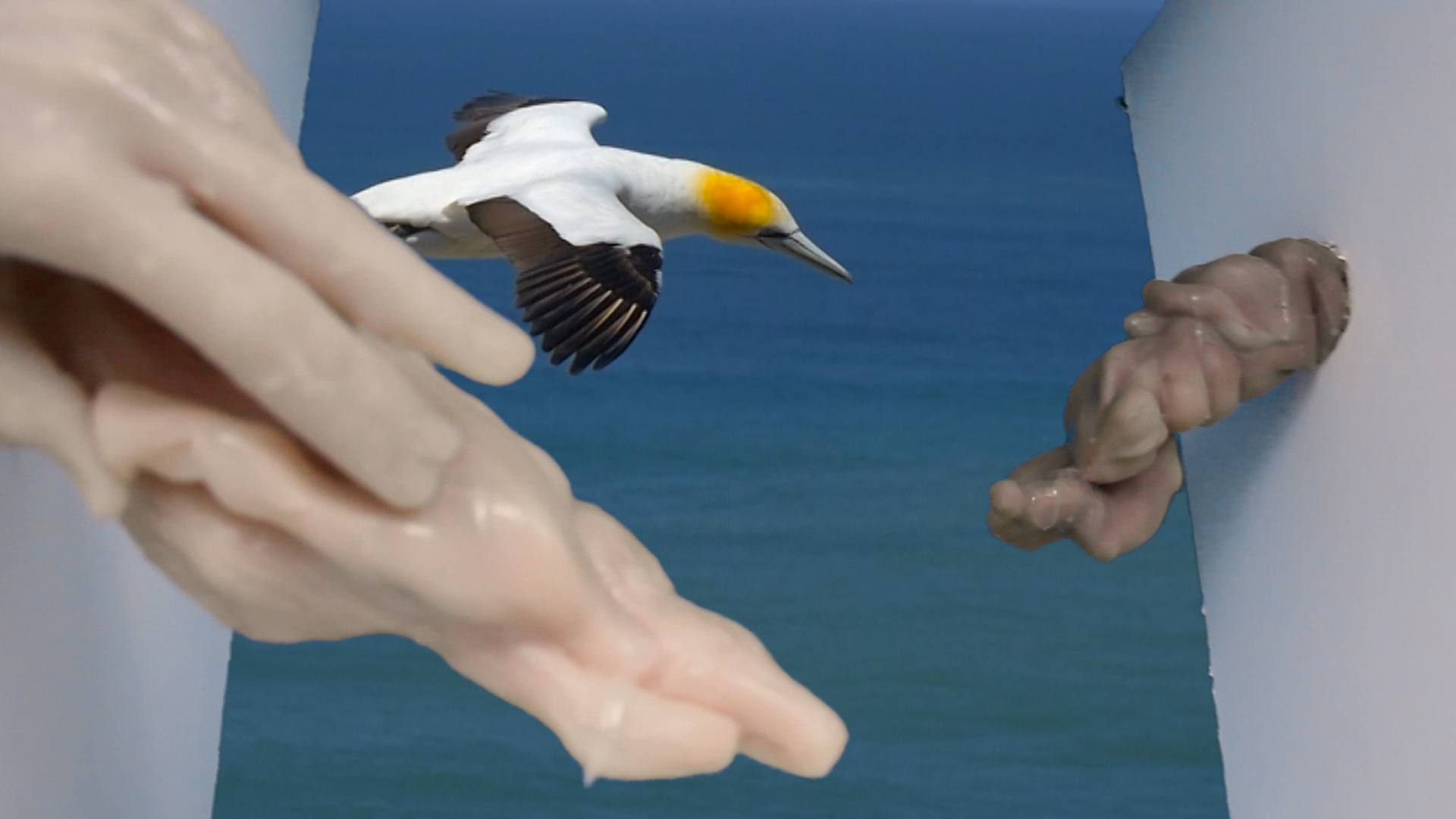 Still Images from "Of Love and Flight"