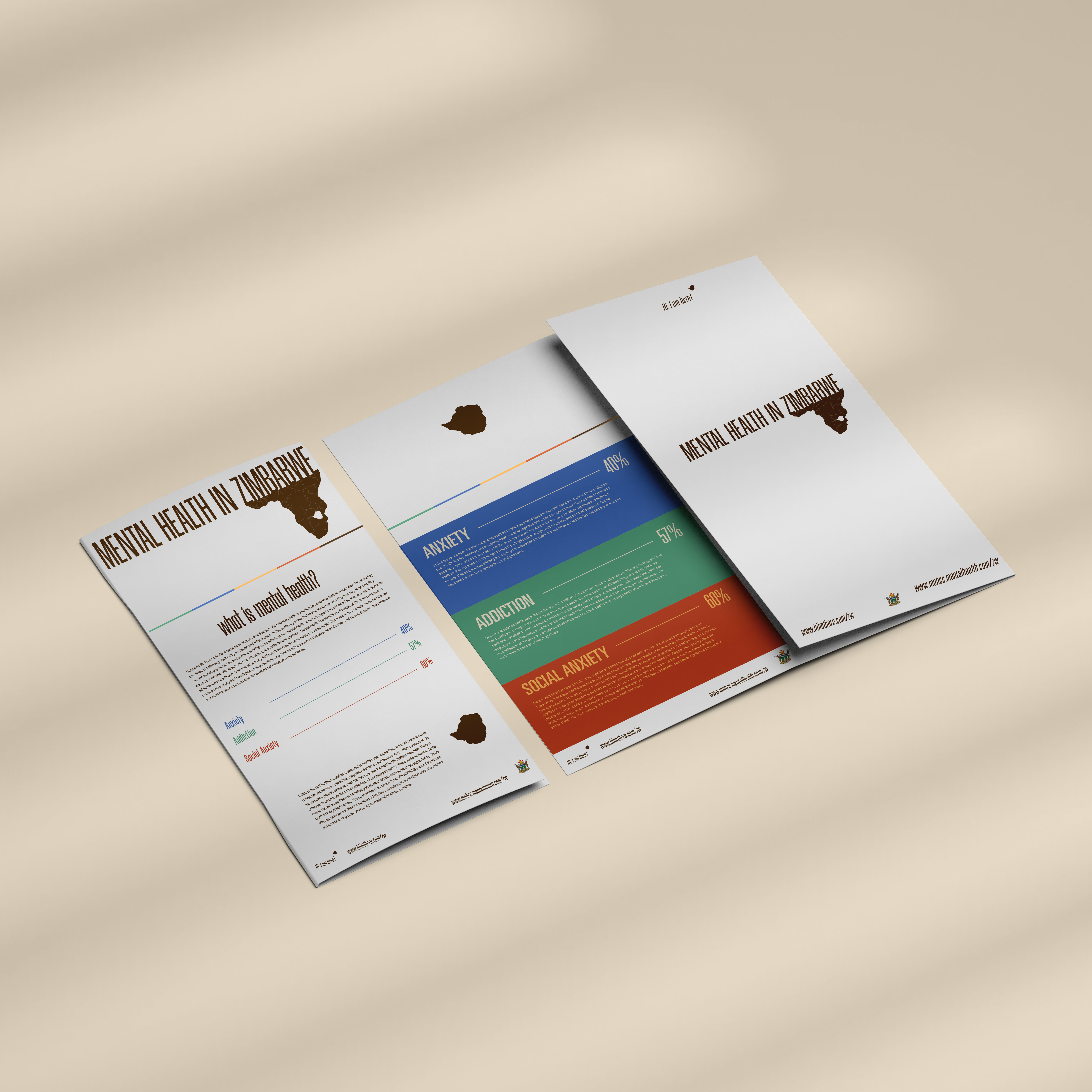 Mental Health in Zimbabwe