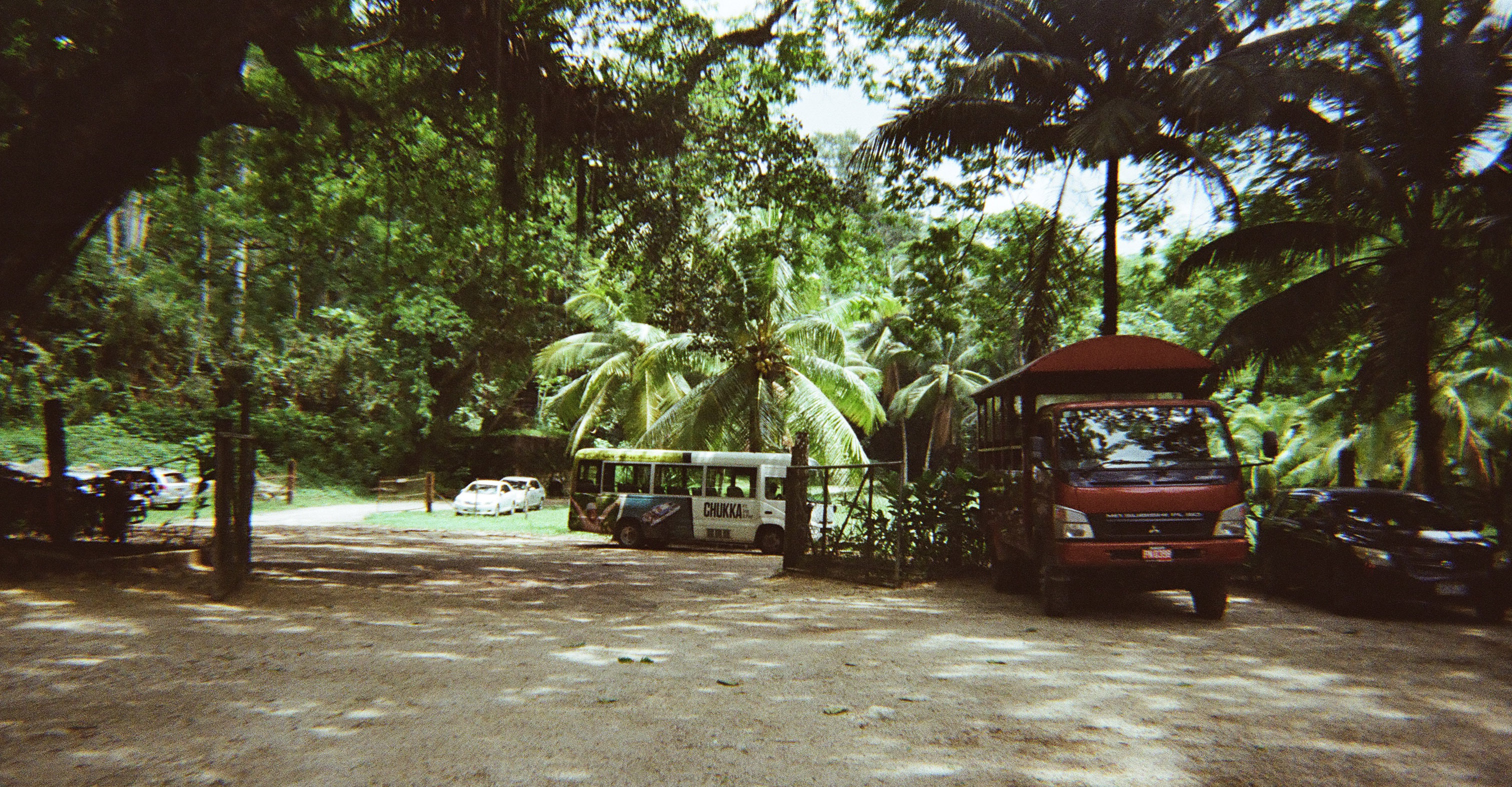 Grief in, Yellow, Black and Green