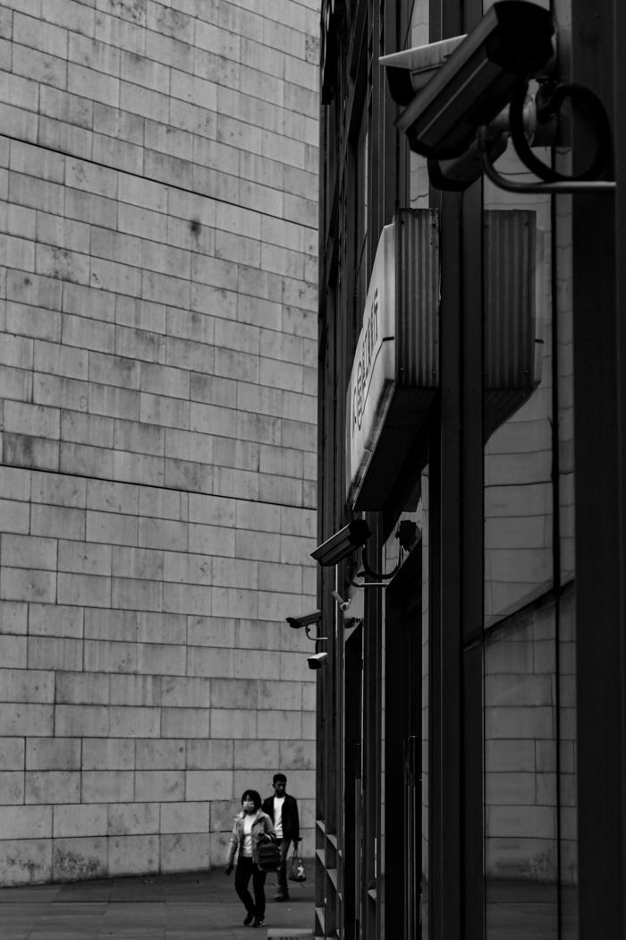 Live in Steel Forest