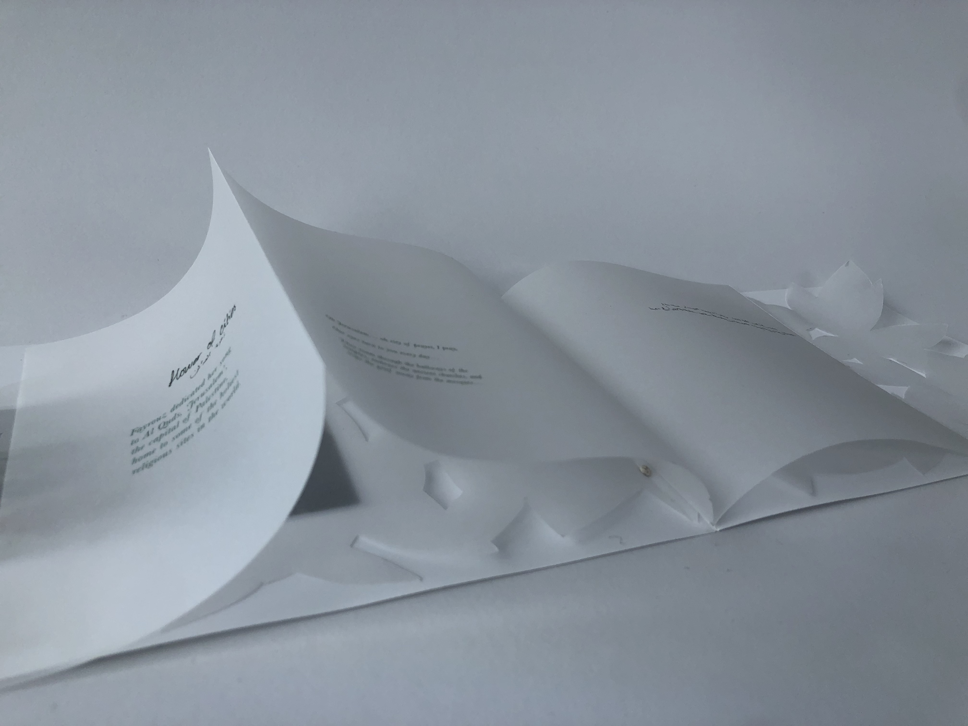 علَى هَذِهِ الأَرْض - On This Land: Publication