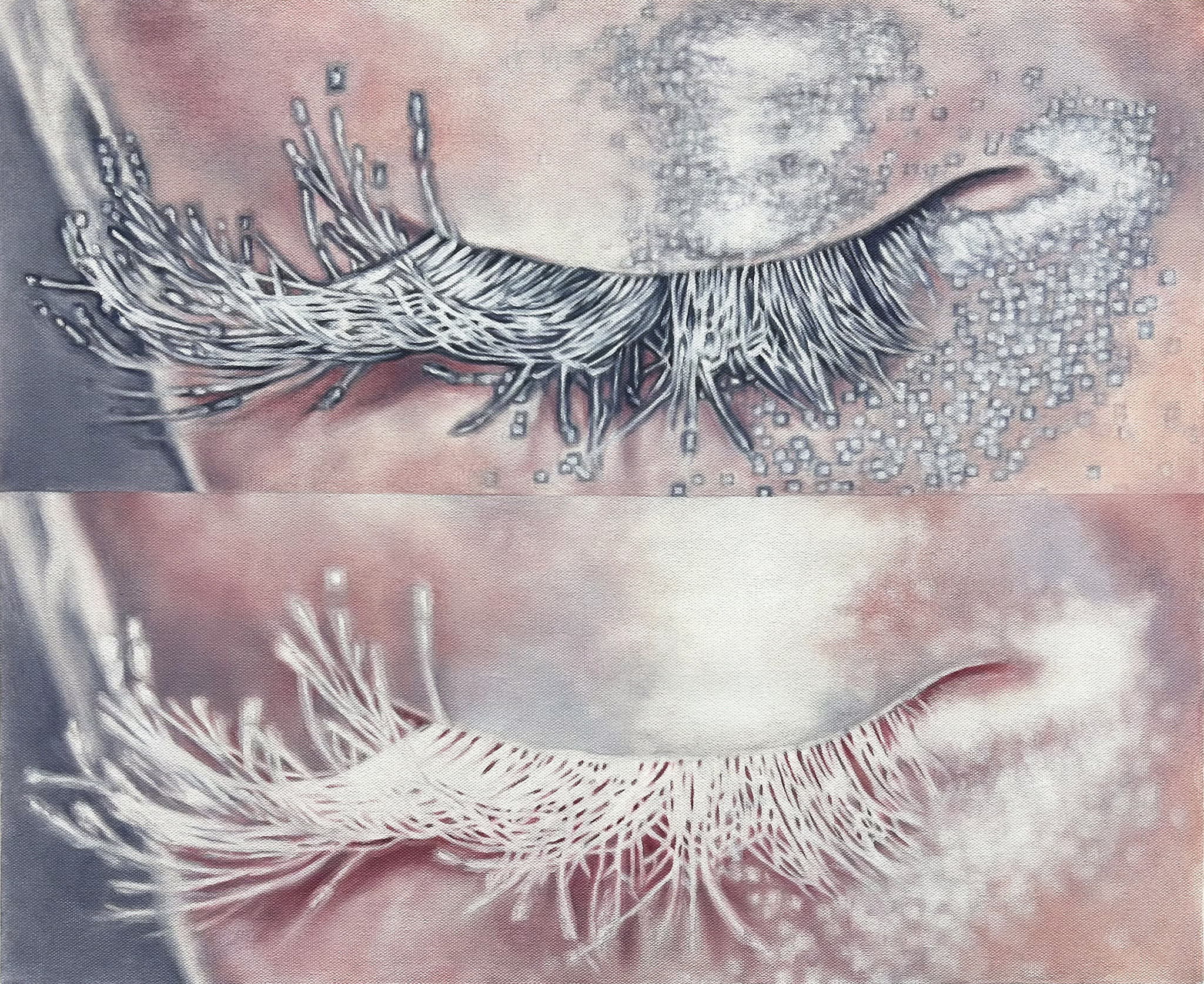 Mitosis