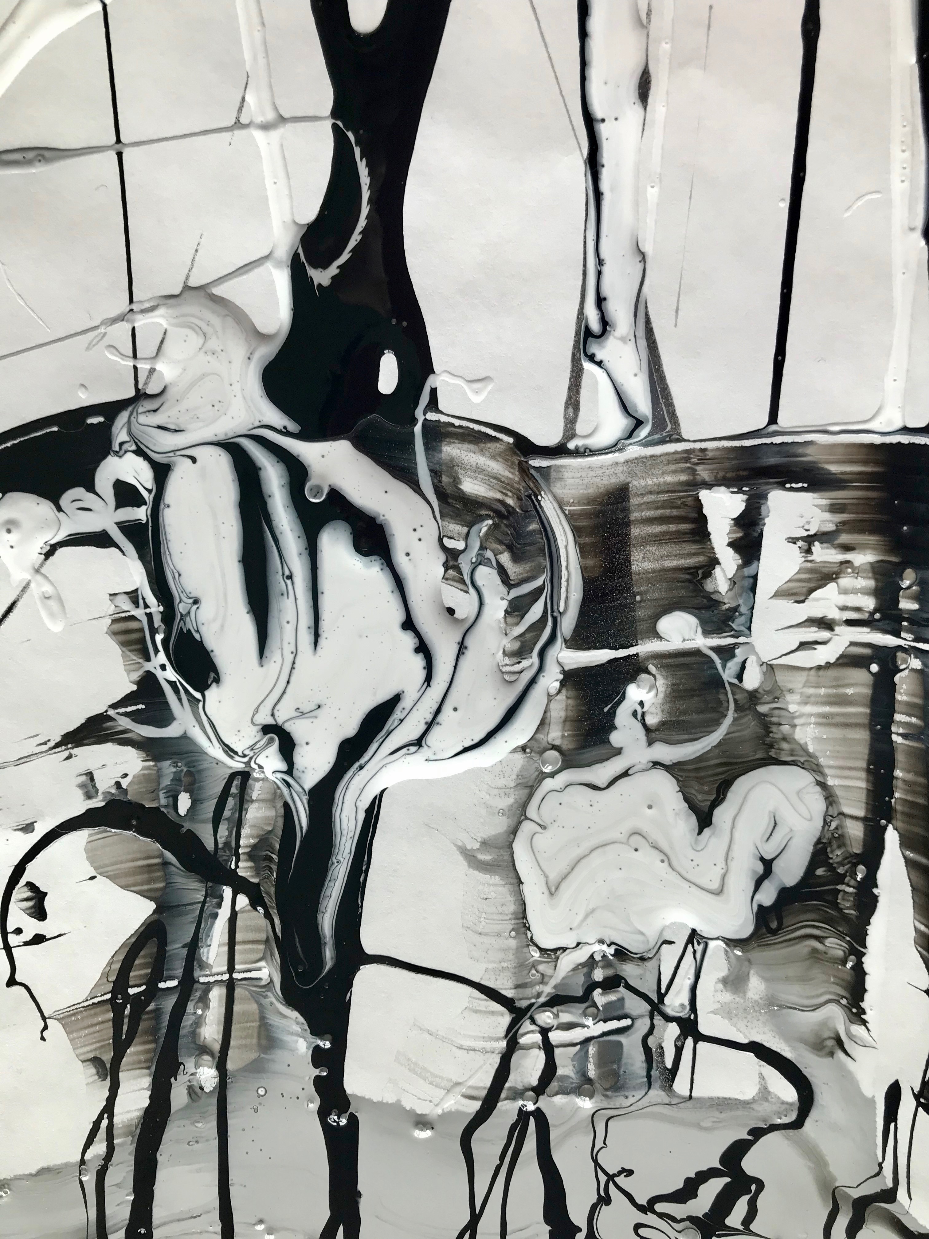 Interconnectivity of the Living World