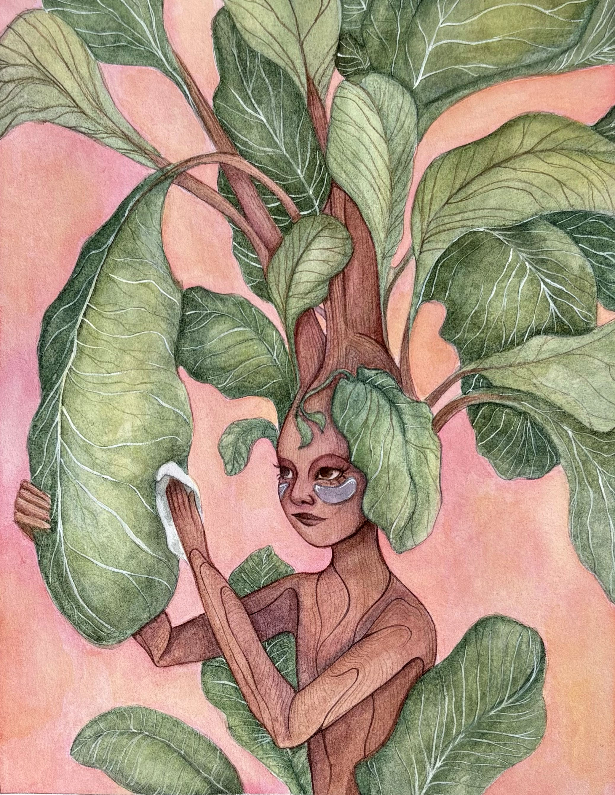 Fiddle Leaf Fig Tree