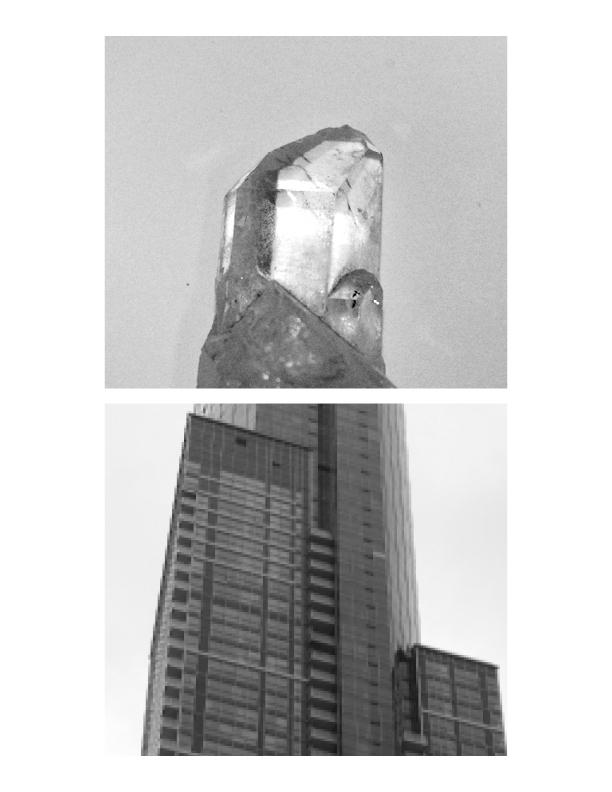 Explorations of Biomimicry and Relationally