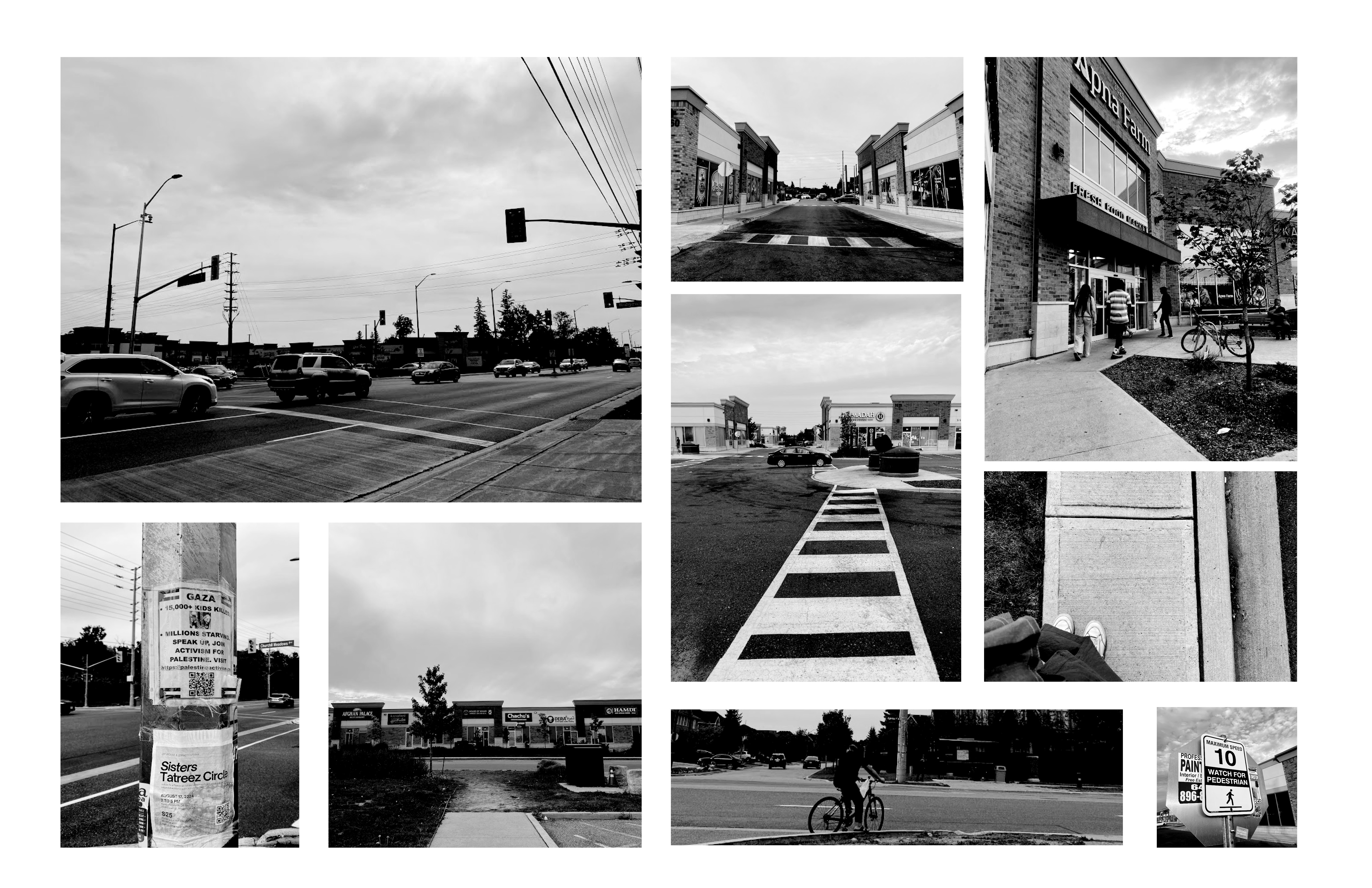 Thesis: Souk in the Suburbs