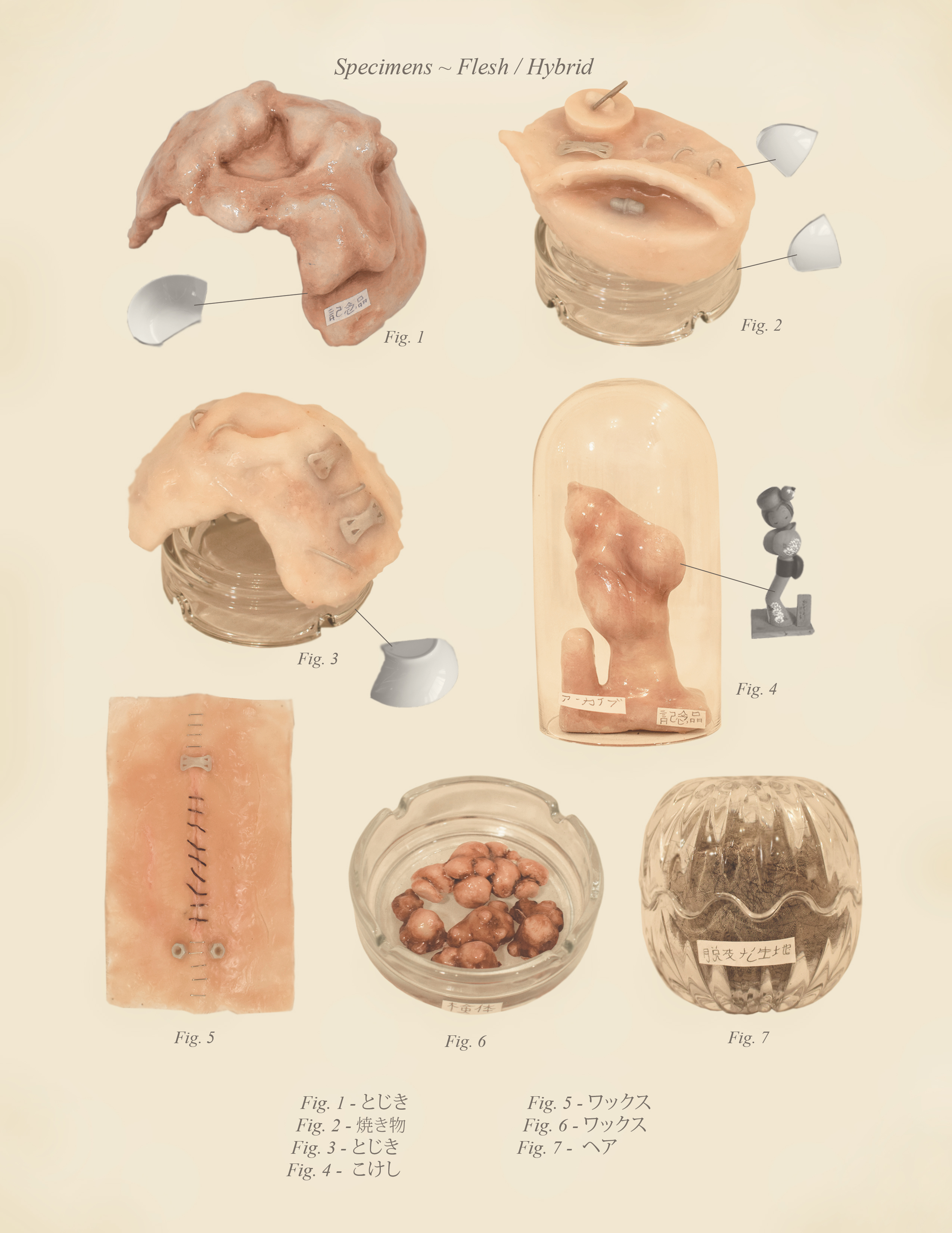 Specimens ~ Flesh / Hybrid