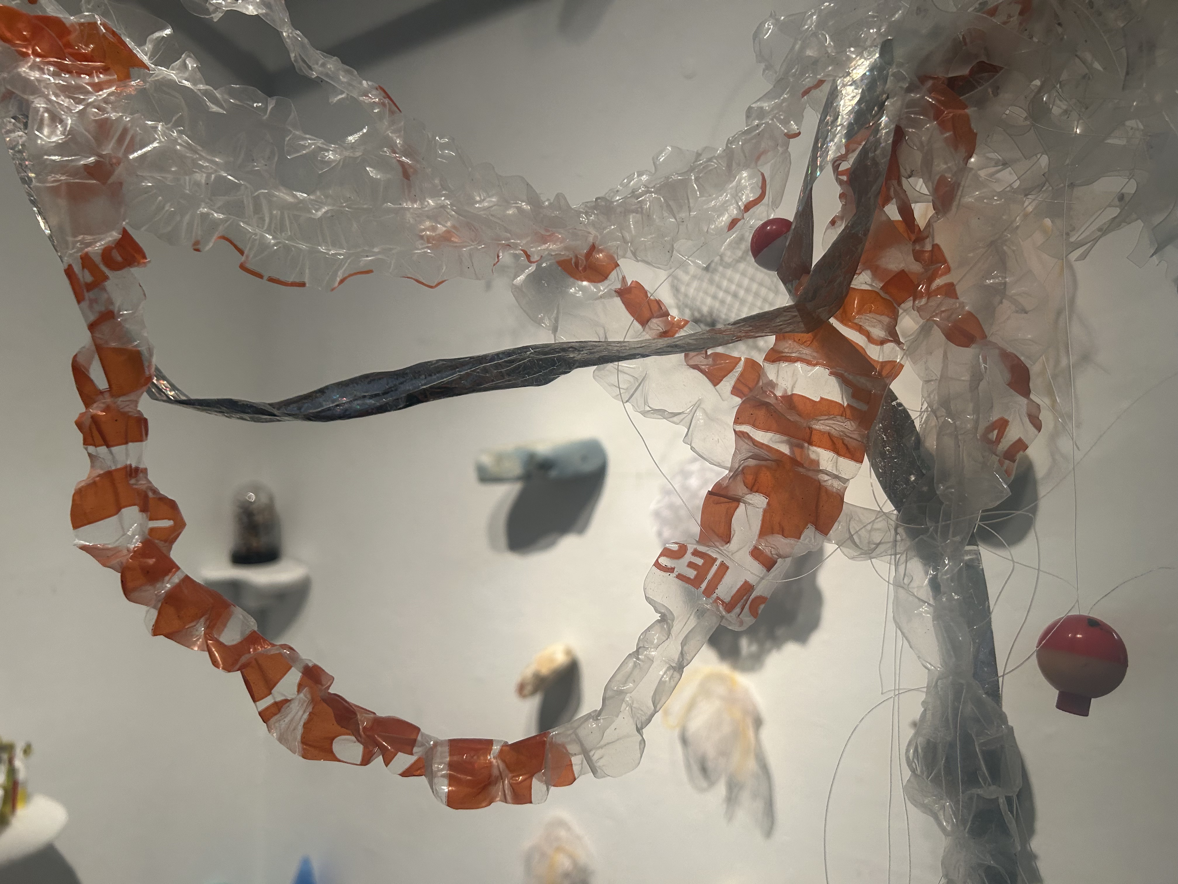 Cyanea tendiculae, Close Up of Tentacles and Oral Arms, photo by Stefania Capobianco