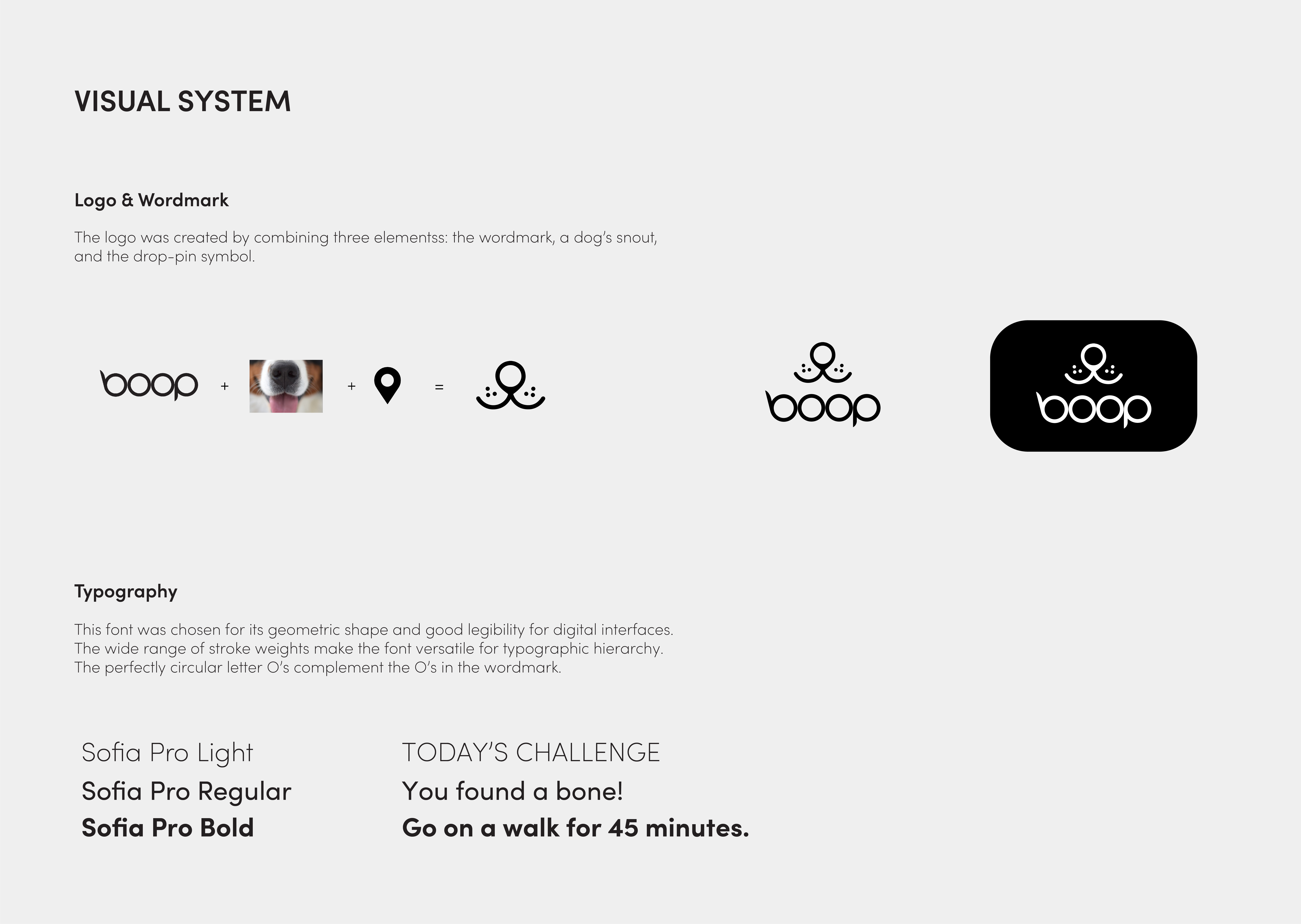 boop: AR Pet Tracker