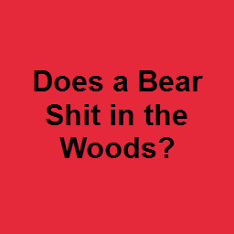 Does a Bear Shit in the Woods?
