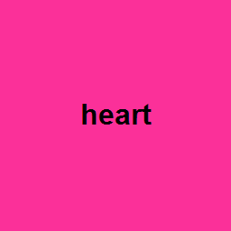 heart
