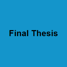 Final Thesis