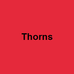 Thorns