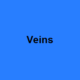 Veins