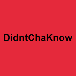 DidntChaKnow