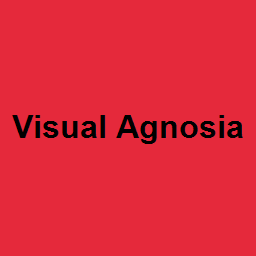 Visual Agnosia