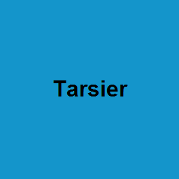 Tarsier