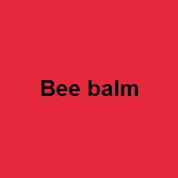 Bee balm