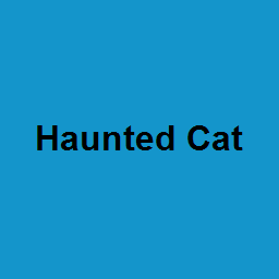 Haunted Cat