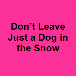 Don’t Leave Just a Dog in the Snow