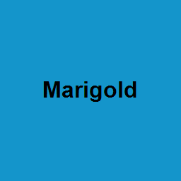 Marigold