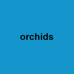 orchids
