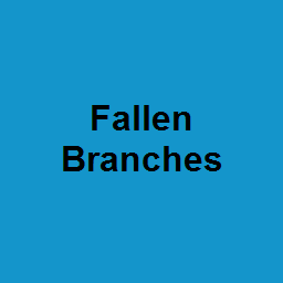 Fallen Branches
