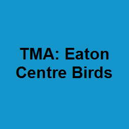TMA: Eaton Centre Birds