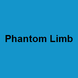Phantom Limb