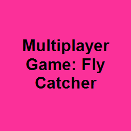 Multiplayer Game: Fly Catcher