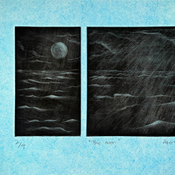 The Moon
