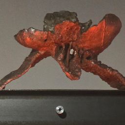 rafflesia dancing in the hallway of tetra vol. 2