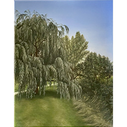 The Weeping Willow