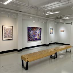 Fruits in the Night, Installation View II