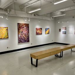 Fruits in the Night, Installation View I