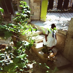 Grief in, Yellow, Black and Green