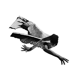 Should oblivion stay,