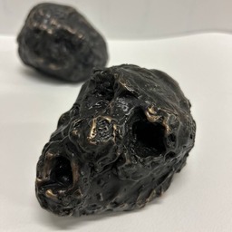 The suffering Masses