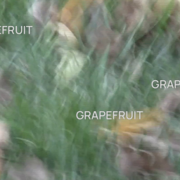 Grapefruit