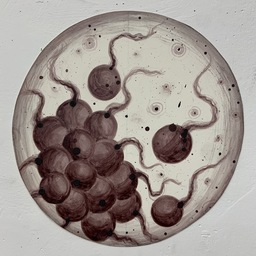 04 Portraits in Anthocyanins