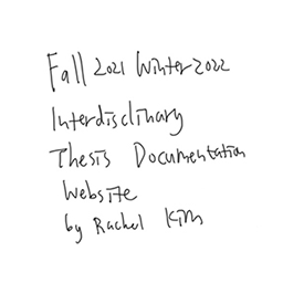 Interdisciplinary Thesis Documentation Website